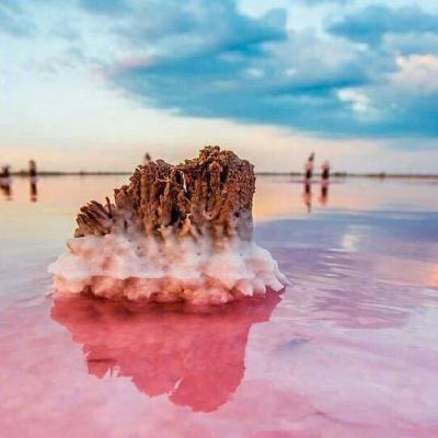 卡大师王最新版下载