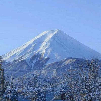 雷霆战机弹幕无双官方版下载