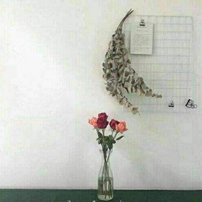 符文王者bt版下载